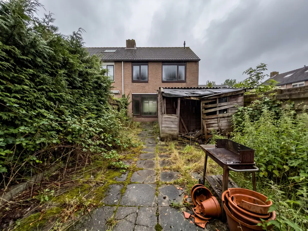 Overwoekerde achtertuin in Goes met mosbegroeide betontegels, doorgeschoten haag en een vervallen tuinhuis